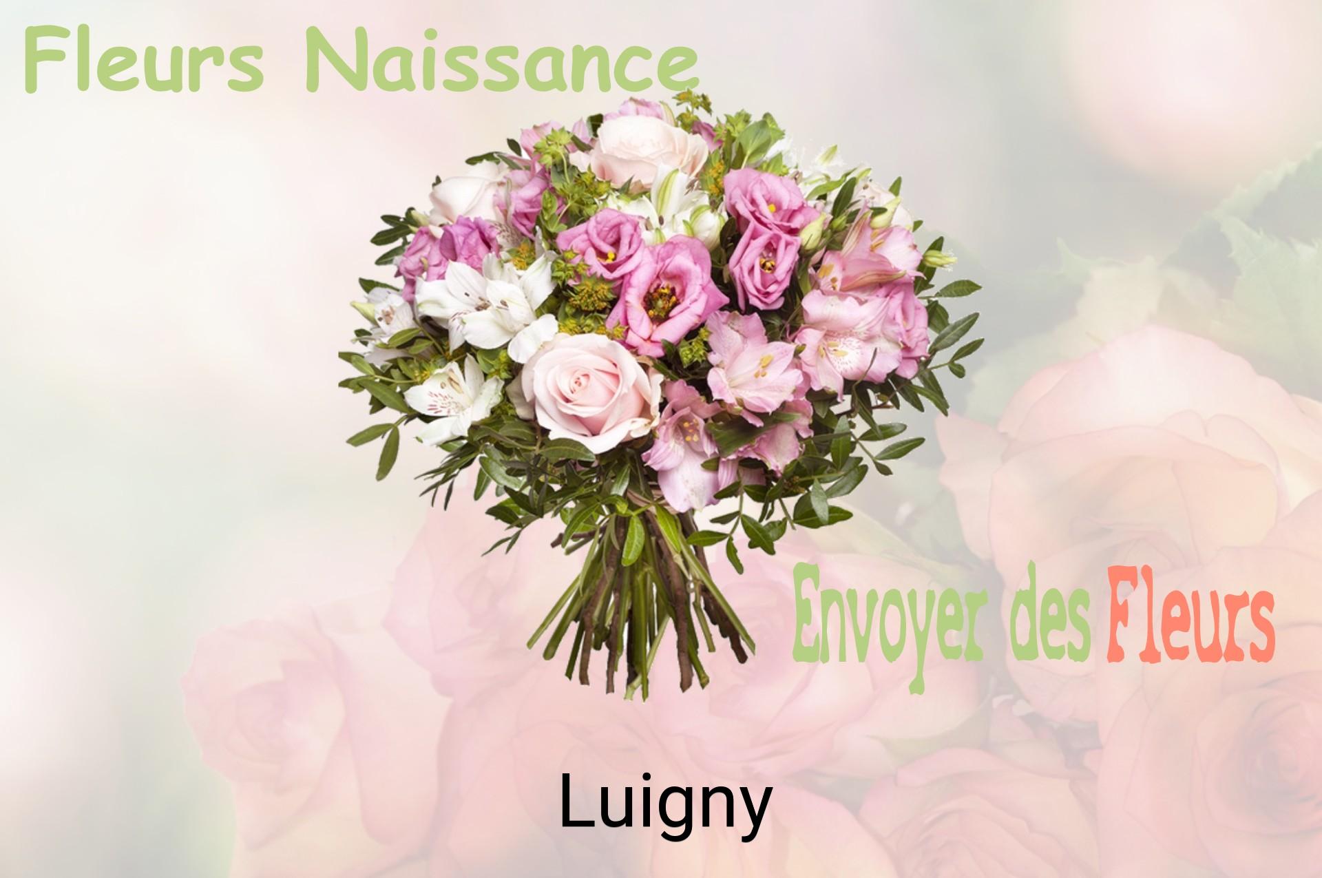 Bouquet de fleurs de naissance livré à Luigny