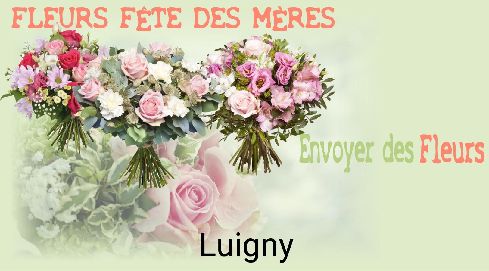 Bouquet de Fête des Mères livré à Luigny